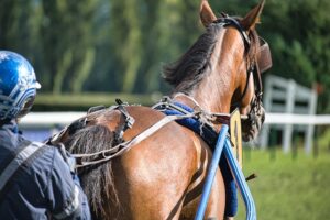 Creëer Je Eigen Beleggingsstrategie Met Professionele Training.